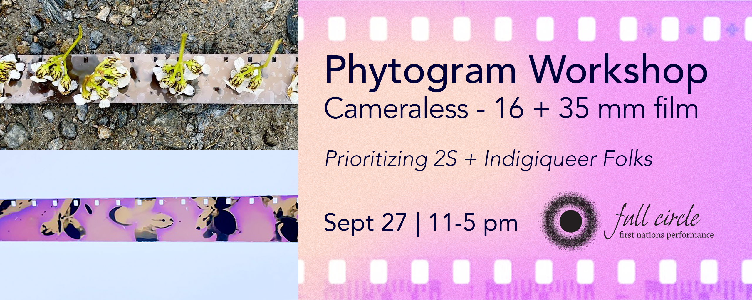 Phyto_banner_2560x1024_v1